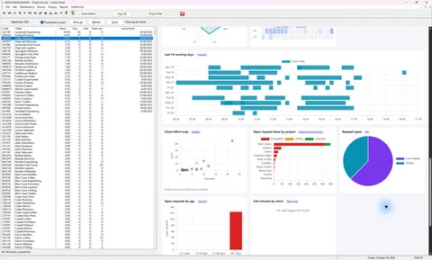 A working-day timeline, client effort bubble chart, project workload bars and request-type pie chart.